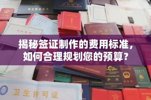 苏州揭秘签证制作的费用标准，如何合理规划您的预算？